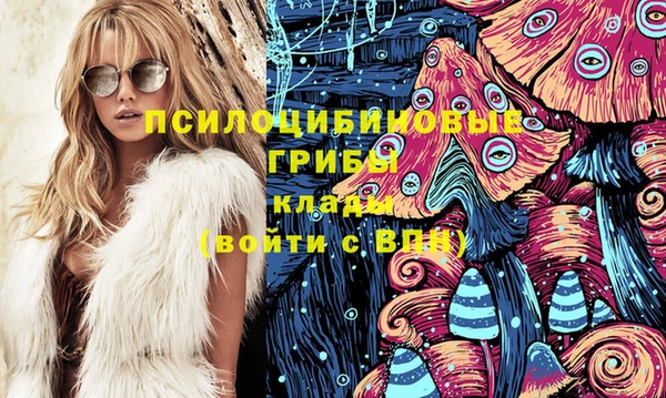 шишки Алексеевка
