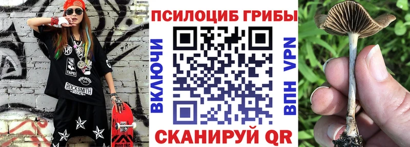это какой сайт  KRAKEN ТОР  Галлюциногенные грибы мухоморы  Кемь  сколько стоит 